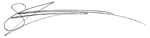 sophia_signature